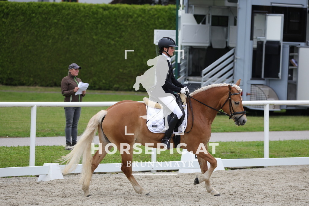 0P6A7100 | Willkommen bei Brunnmayr - Design & Fotografie – Ihrem Spezialisten für Reitturniere und Pferdeveranstaltungen in Oberösterreich, Salzburg und Bayern! Seit über 17 Jahren sind wir leidenschaftlich dabei.