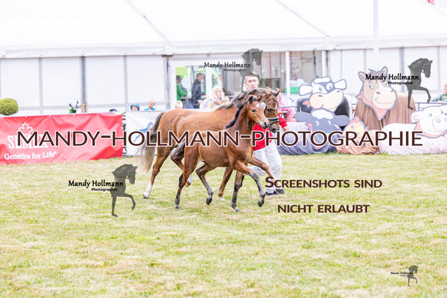LTN 2 (50 von 1981) | mandyhollmannphotographie