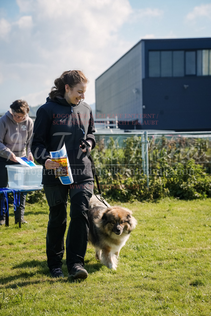 20250928_Hunderennen-746 | MuT (Mensch und Tier) mit Mona - Fotografie und Tierkommunikation - Realisiert mit Pictrs.com