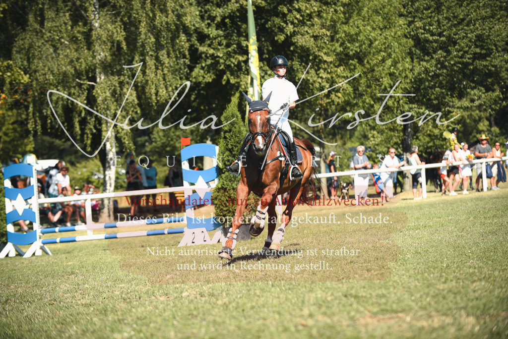 DSC_7629 | Pferde- und Turnierfotografie in Westsachsen. Pferdeportraits, Auftragszeichnungen und intuitive Kunst.