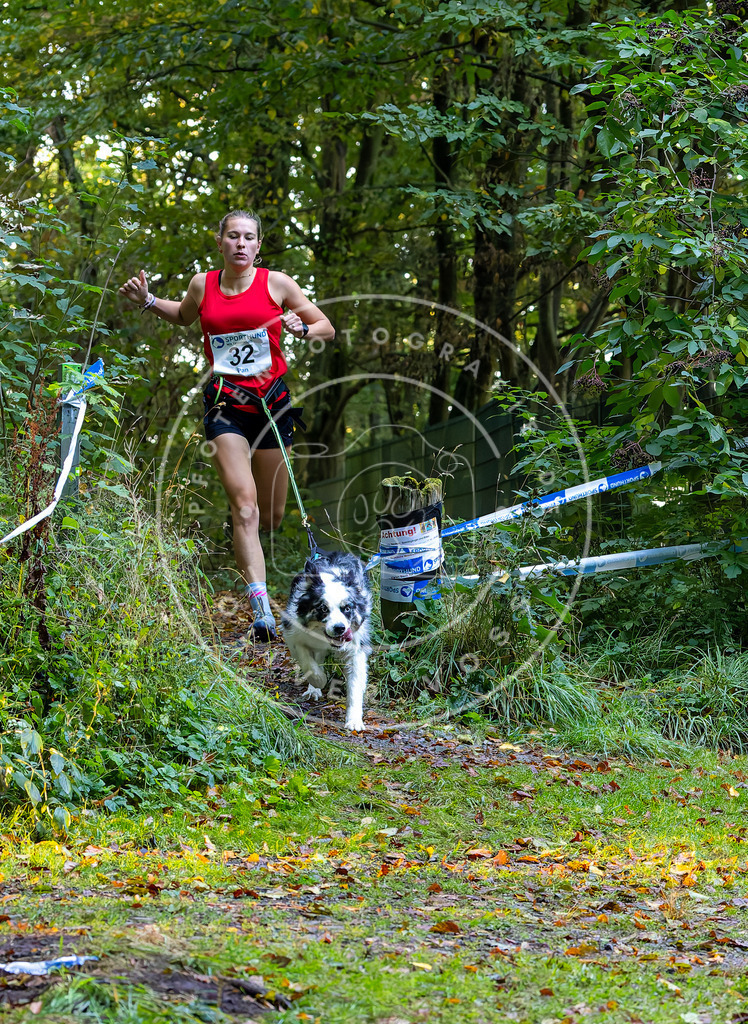 Pfotenfotografie_DV3A6675 | Hundefotografie, Tierfotograf, Pfotenfotografie, Fotoshooting Hund, Hunde Portrait, Hundesport, Hundeportraits, Heideshooting, Hunde, Sportfotograf, Hundefotograf, Turnierhundsport, THS,  - Realisiert mit Pictrs.com