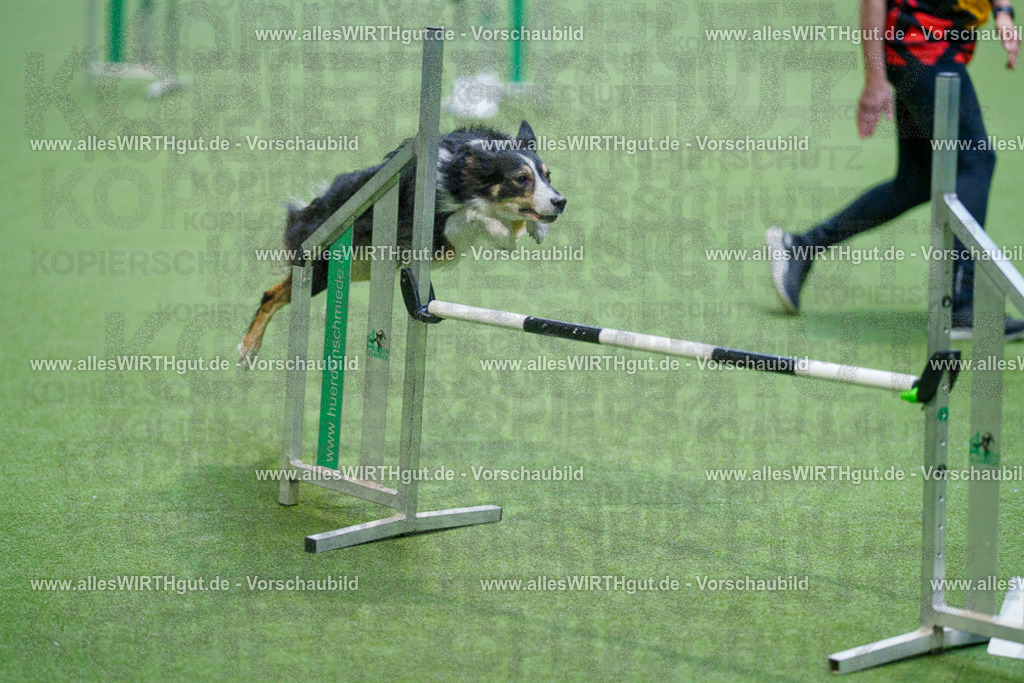 @allesWIRTHgut_Tierfotografie - www.allesWIRTHgut.de - 2604250816-7R505998 | Professionelle Tierfotografie in Mönchengladbach von Daniel Wirth (allesWIRTHgut). Liebevolle & natürliche Bilder von Hunden & Katzen für unvergessliche Erinnerungen.