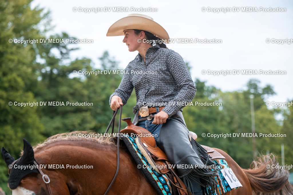 ZS2_8550 | dv-media-shop - Realisiert mit Pictrs.com