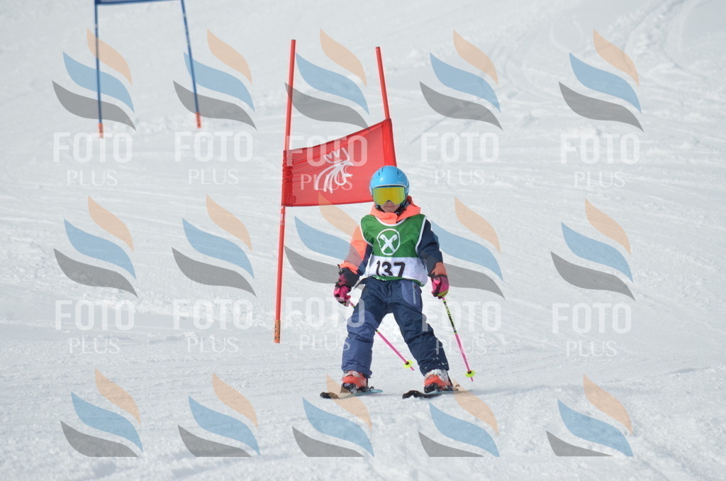 D8527 | holidayphoto