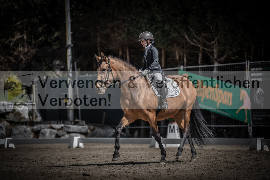 DSC_0817 | equestrian-live-com