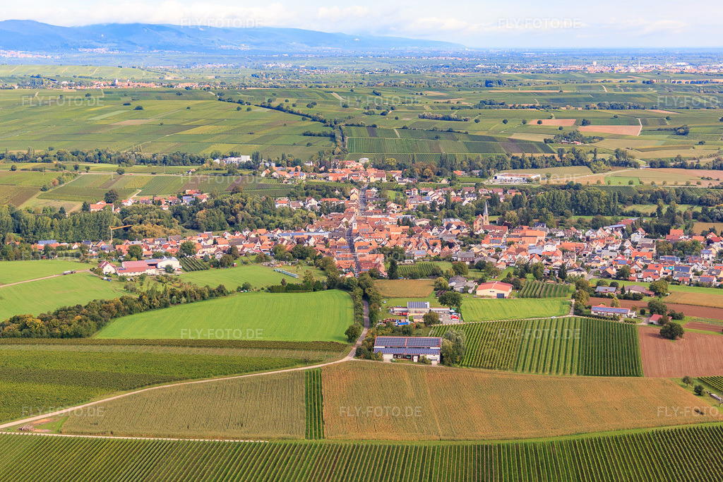 Luftbild: Ortsansicht aus Süden im Ortsteil Ingenheim in Billigheim-Ingenheim im Bundesland Rheinland-Pfalz in Deutschland. Foto: IMG_072560.jpg vom 19.09.2014 durch Werner Riehm/FLY-FOTO.deAuflösung des Originals: 5188 x 3458 px