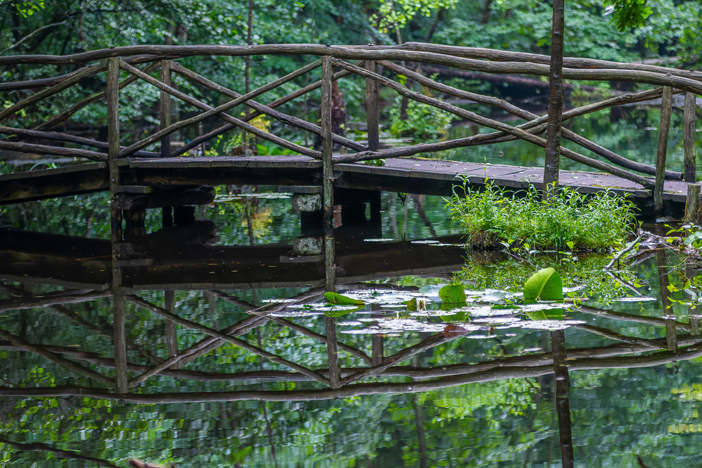 Monet kommt gleich | Holzbrücke über Kuhlake mit Seerosen - Realisiert mit Pictrs.com