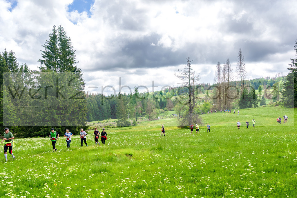 Rennsteiglauf Marathon 2024 | 25. Mai 2024 - 42,2 km von Neuhaus nach Schmiedefeld
