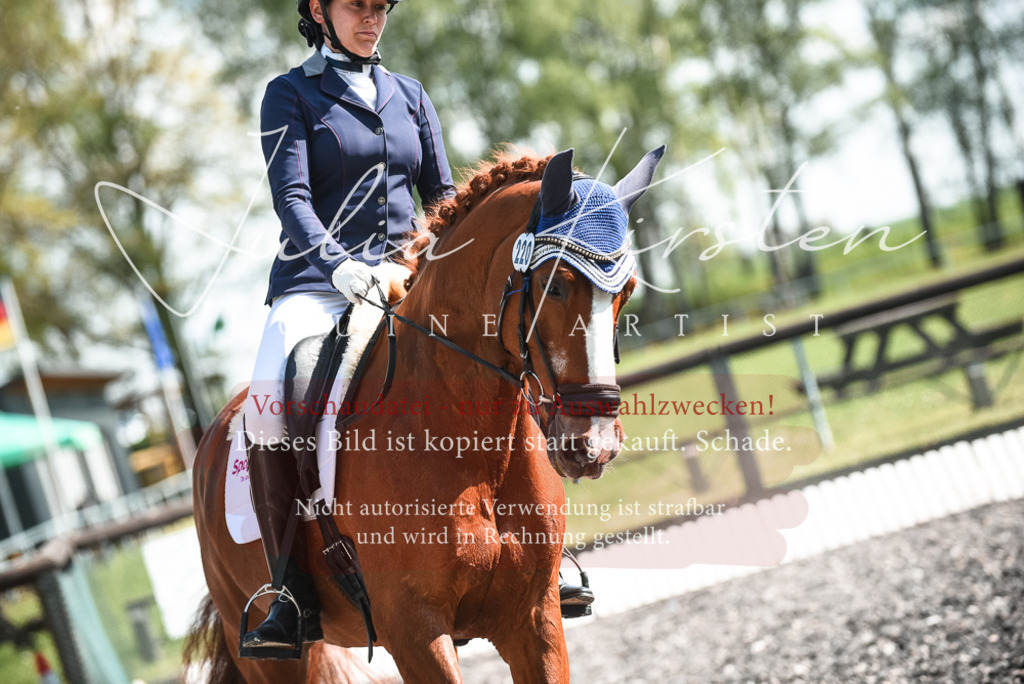 DSC_8854 | Pferde- und Turnierfotografie in Westsachsen. Pferdeportraits, Auftragszeichnungen und intuitive Kunst.