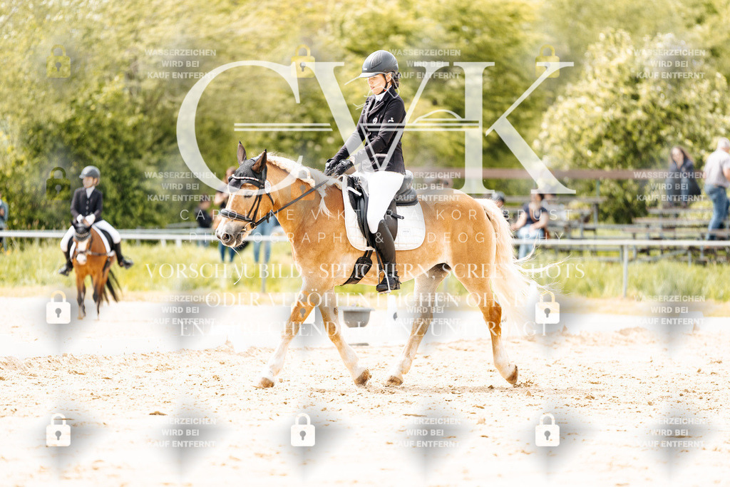 CK902217 | Turnierfotografie Pferdefotografie Trier Rheinland-Pfalz Pferdesport Reitsport Tierfotografie Sportfotografie Pferdevideo Pferdevideografie Equestrianvideography equestrianphotography  - Realisiert mit Pictrs.com