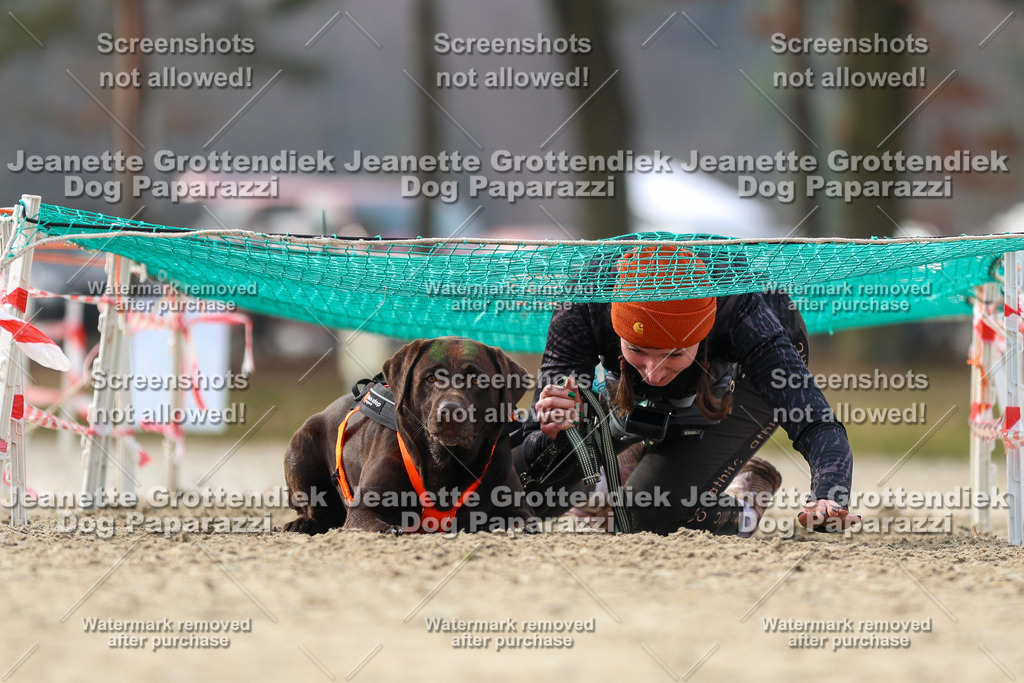 Dog Paparazzi - Strongdog North Mrz26-4797 | Dog Paparazzi Jeanette Grottendiek Fotografie & Videografie - Realisiert mit Pictrs.com