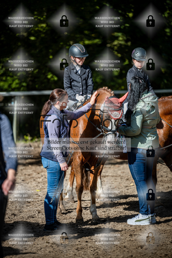 2026-10-Helle-20-4-0057 | Entdecke hochwertige Reitturnierfotos von Foto Oger. Professionell, emotional und authentisch – jetzt Lieblingsmomente im Shop bestellen.Deutschlandweite Turnierfotografie. - Realisiert mit Pictrs.com