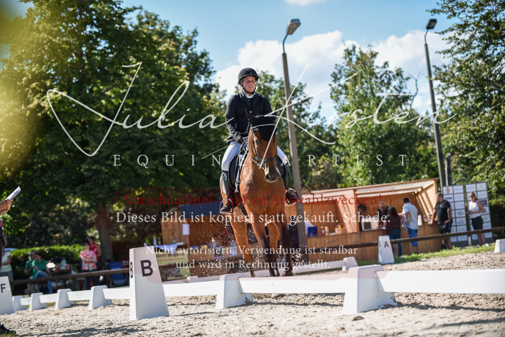 DSC_9682 | Pferde- und Turnierfotografie in Westsachsen. Pferdeportraits, Auftragszeichnungen und intuitive Kunst.