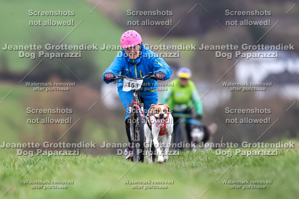 Dog Paparazzi - Herkules Race  2025-37 | Dog Paparazzi Jeanette Grottendiek Fotografie & Videografie - Realisiert mit Pictrs.com