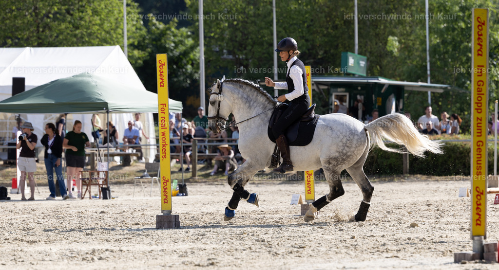 WS_SPEED_11_KerstinBernhardt | working equitationturnier fotograf videograf stoibphotography marixx film working equitation deutschland reitsport turnierfotografie eventfotografie equestrian events