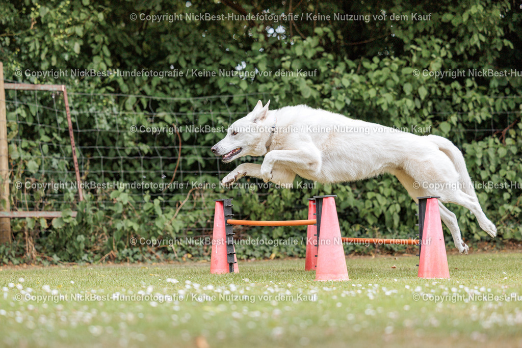 THS-Quakenbrück-2026-Nickbest-Hundefotografie-4227 | Dein Hund! Dein Moment! Deine Erinnerungen! Hundefotografie in Bremen Blumenthal. Ich fange die besonderen Momente deines Vierbeiners ein – ob Indoor mit Blitzanlage oder in der freien Natur. Sicher dir dein Moment und dein Termin für eure Erinnerungen.