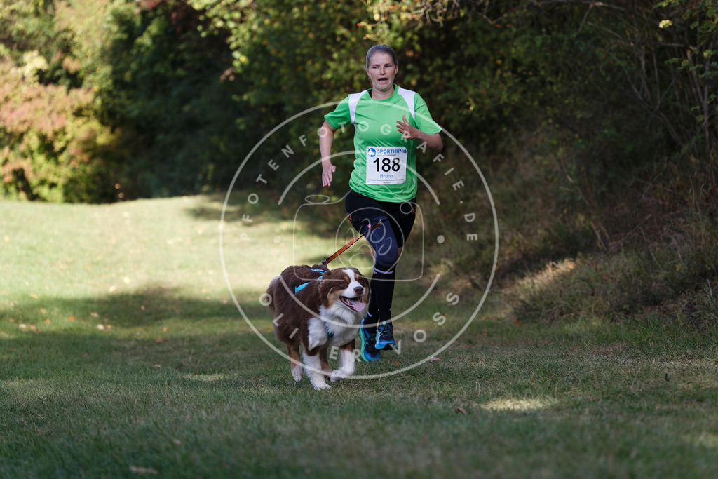 0L8A5755 | Hundefotografie, Tierfotograf, Pfotenfotografie, Fotoshooting Hund, Hunde Portrait, Hundesport, Hundeportraits, Heideshooting, Hunde, Sportfotograf, Hundefotograf, Turnierhundsport, THS,  - Realisiert mit Pictrs.com