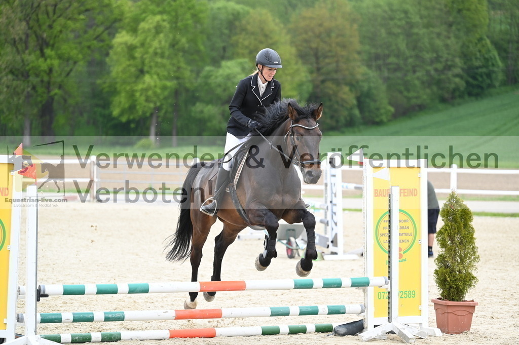 DSC_2020 | equestrian-live-com