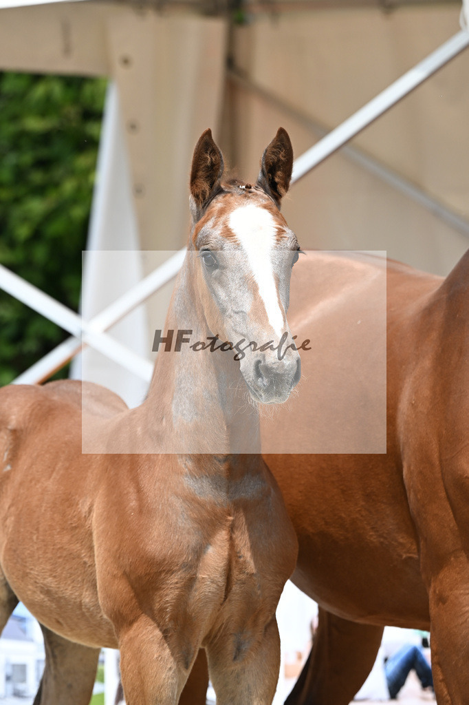 Arezzo Man x Clearway_HF_Maier u Mayerfoels_12250671 | hf-fotografie - Realisiert mit Pictrs.com