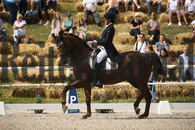 Birkhof_2022_GrandPrixSpecial_Martina Steisslinger_Favory A.S (3) | Alle Fotos der Reiterjournal Fotografin Doris Matthaes im Reiterjournal Online-Fotoshop. - Realisiert mit Pictrs.com