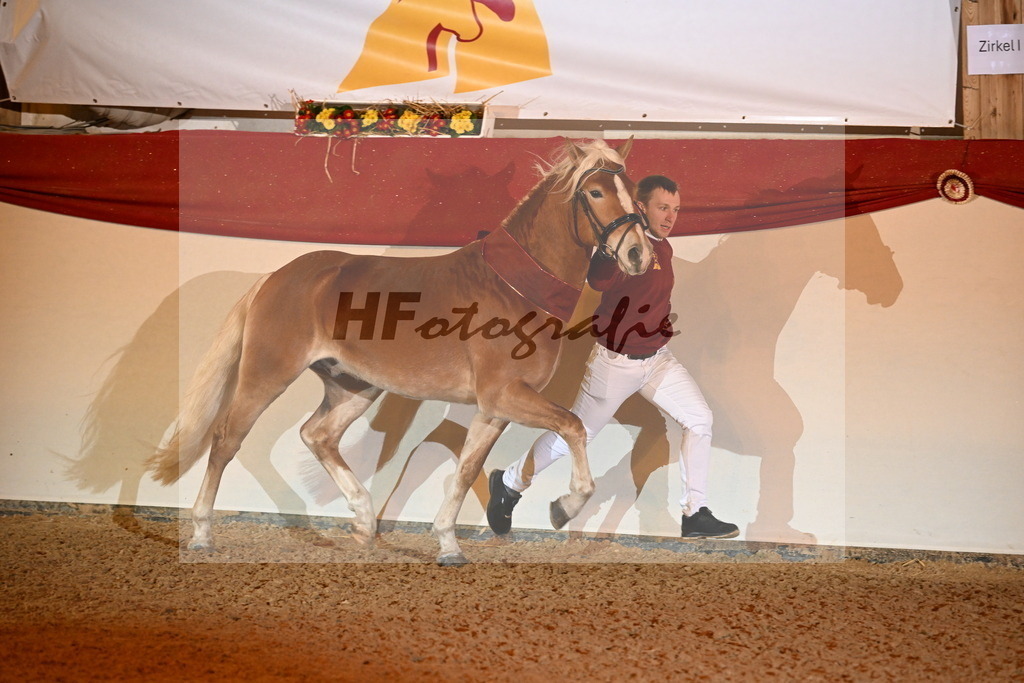 Stavaro_3262764 | hf-fotografie - Realisiert mit Pictrs.com