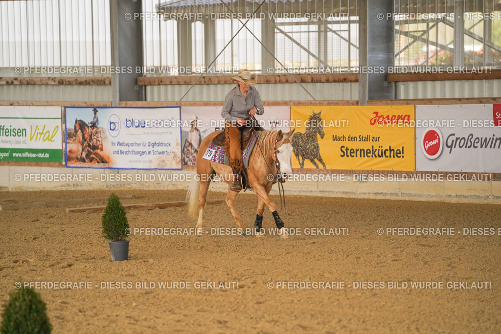 DSC01387 | Pferdegrafie