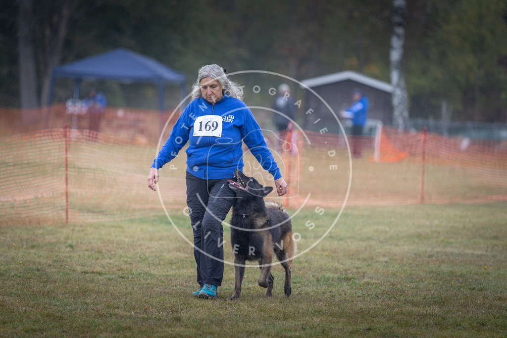 Pfotenfotografie_DV3A9071 | Hundefotografie, Tierfotograf, Pfotenfotografie, Fotoshooting Hund, Hunde Portrait, Hundesport, Hundeportraits, Heideshooting, Hunde, Sportfotograf, Hundefotograf, Turnierhundsport, THS,  - Realisiert mit Pictrs.com