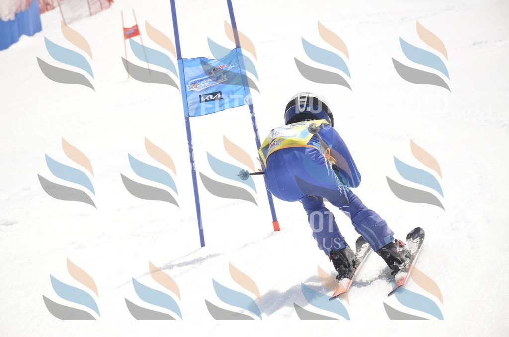 _ELE8778 | holidayphoto