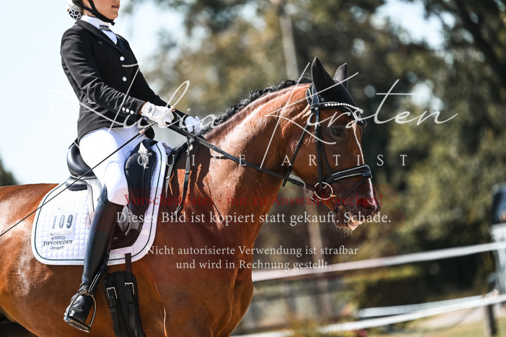 DSC_5035 | Pferde- und Turnierfotografie in Westsachsen. Pferdeportraits, Auftragszeichnungen und intuitive Kunst.