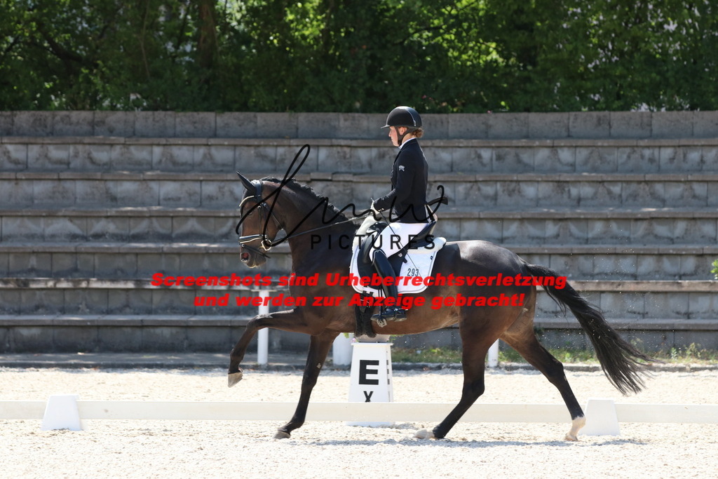 IMG_5093 | lmwpictures - Realisiert mit Pictrs.com