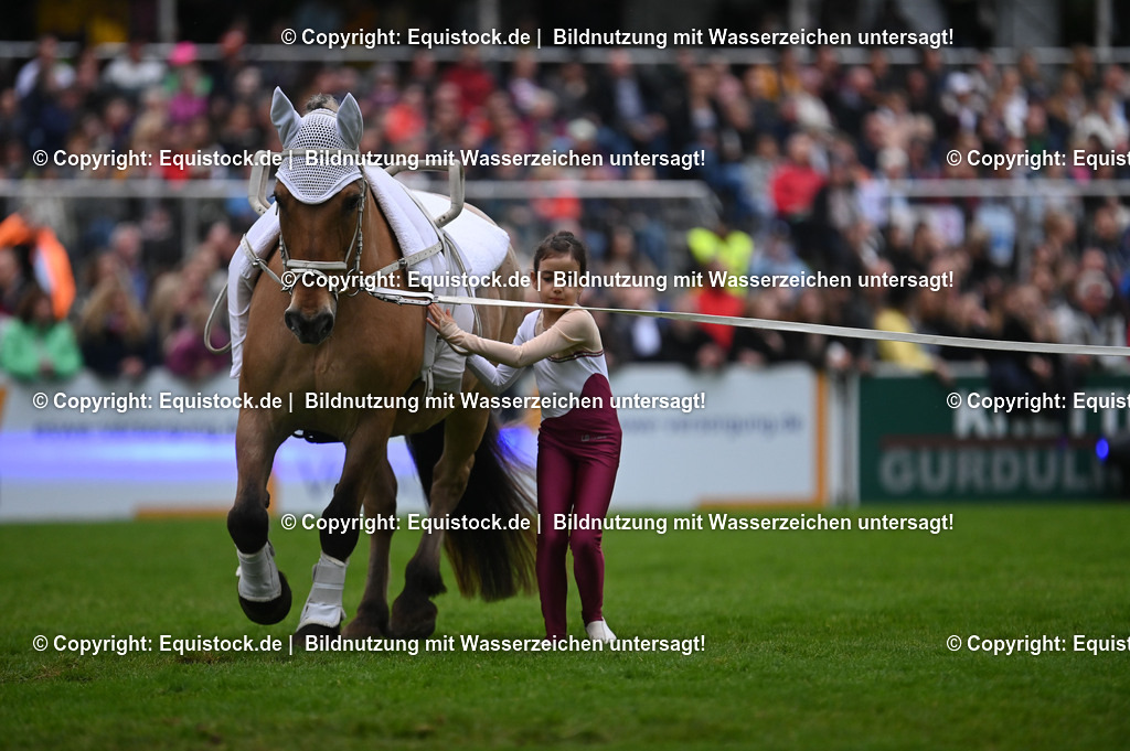 20240517_Lange-Pferdenacht_0311 | Foto: Thomas Hartig