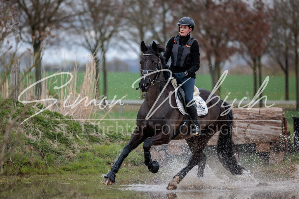 20260329-_3LI4978 | Tierfotografie Pferde, Hunde, Katzen, Haustiere.
Turnierfotografie Reitturniere, Reiten, Springreiten, Dressur in Hanau, dem Main-Kinzig-Kreis und dem Rhein-Main- Gebiet um Frankfurt