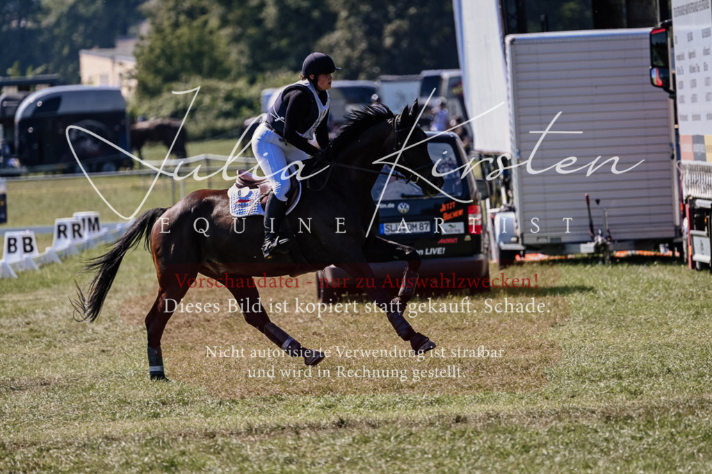 DSC_1617 | Pferde- und Turnierfotografie in Westsachsen. Pferdeportraits, Auftragszeichnungen und intuitive Kunst.