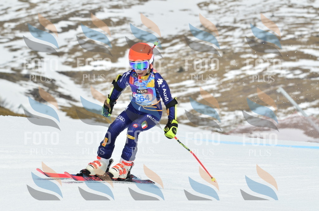 _ELE2914 | holidayphoto