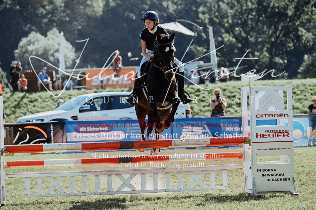 DSC_5914 | Pferde- und Turnierfotografie in Westsachsen. Pferdeportraits, Auftragszeichnungen und intuitive Kunst.
