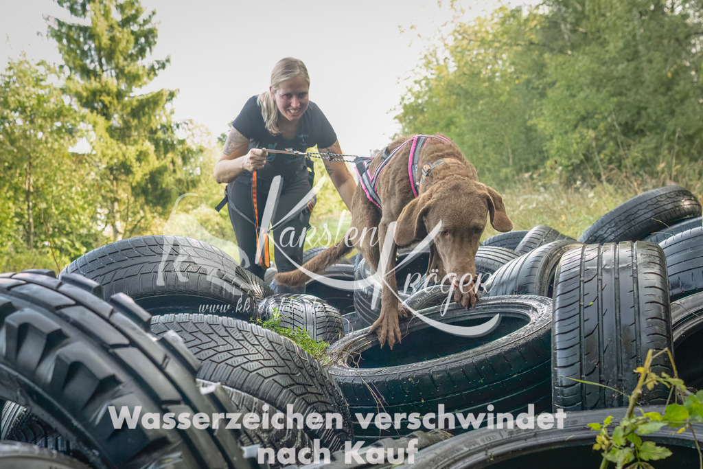 1057_ZZ90921-Bearbeitet | kk-dogfotos