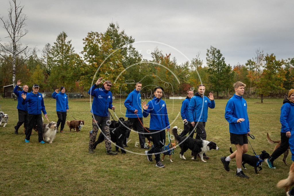 Pfotenfotografie_0L8A0289 | Hundefotografie, Tierfotograf, Pfotenfotografie, Fotoshooting Hund, Hunde Portrait, Hundesport, Hundeportraits, Heideshooting, Hunde, Sportfotograf, Hundefotograf, Turnierhundsport, THS,  - Realisiert mit Pictrs.com