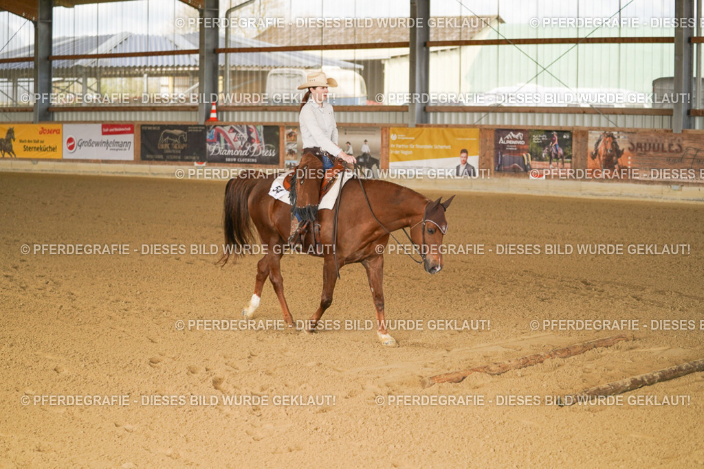 DSC01583 | Pferdegrafie