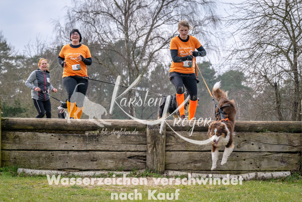 _ZZ92885 | kk-dogfotos