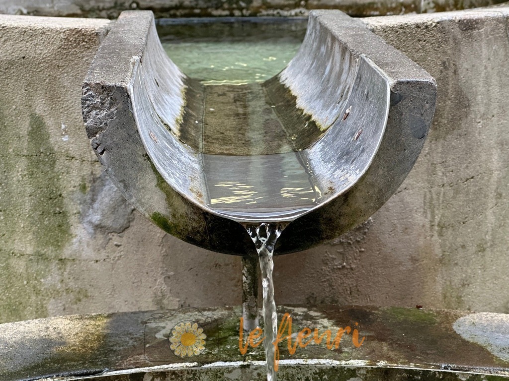 91E6BF28-D1B8-40F4-BA9D-1356B110986F | Dies ist der Shop von Florian Blum - le fleuri. Langenthal, Bern, SchweizSie können hier meine oder ihre eigenen Fotos als Fotoprodukte kaufen. Tassen, Schlüsselanhänger, Taschen etc. können Sie hier gestalten.  - Realisiert mit Pictrs.com