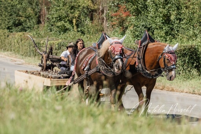 7V6A1874 | natalia-nirschl-photography