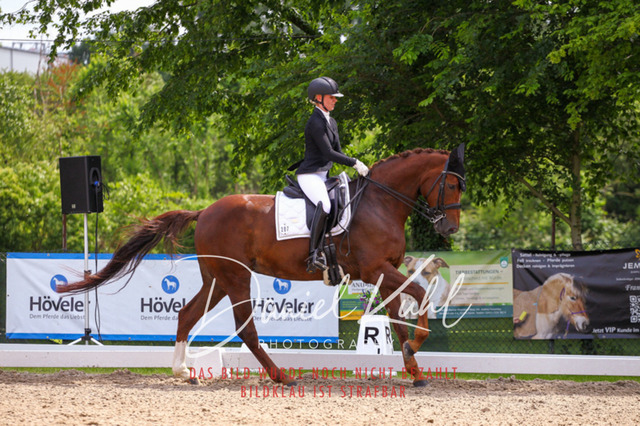 DKP41199 | Turnierfotos kaufen im Webshop von Daniel Kuhl Photography – entdecke professionelle Reitsportfotos aus Turnieren & Events. Hochwertige Turnierbilder online bestellen & sichern. Jetzt Fotos von Reitsportturnieren kaufen!