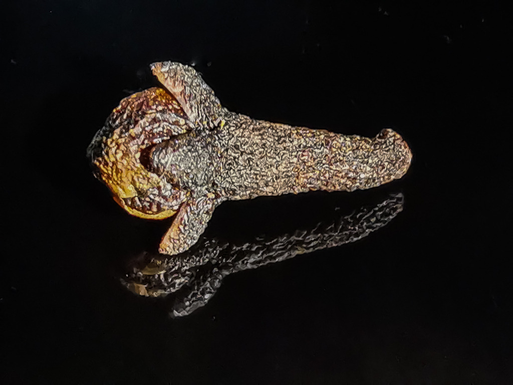 PSX_20230202_231111 | mtkfoto_ - Realisiert mit Pictrs.com