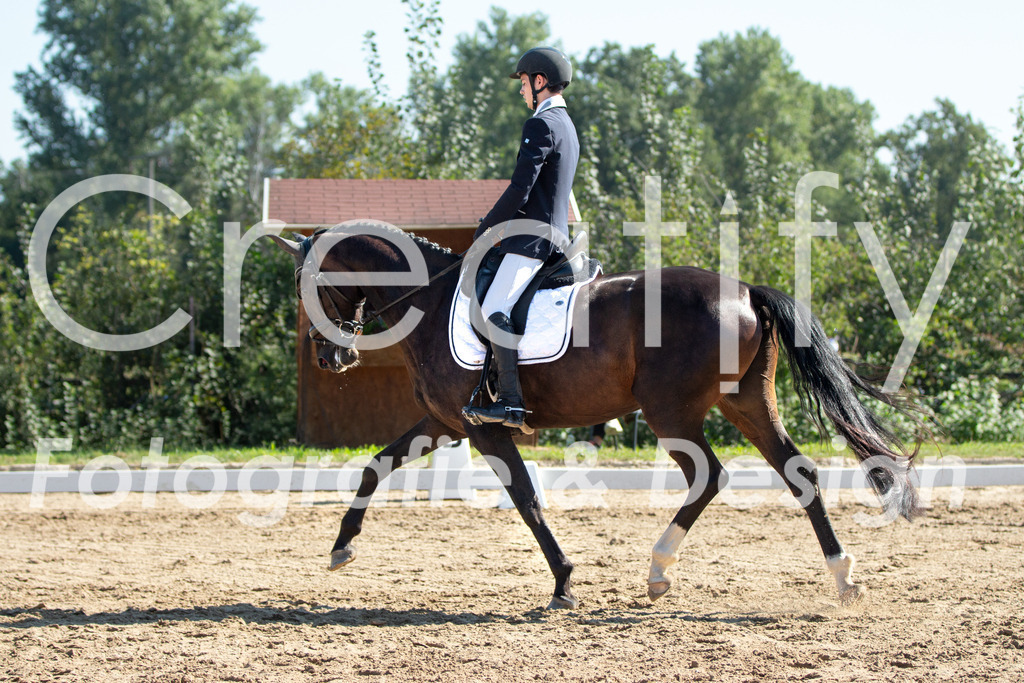 IMG_3488 | Creatify Fotografie