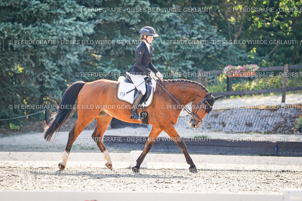 DSC09738 | Pferdegrafie