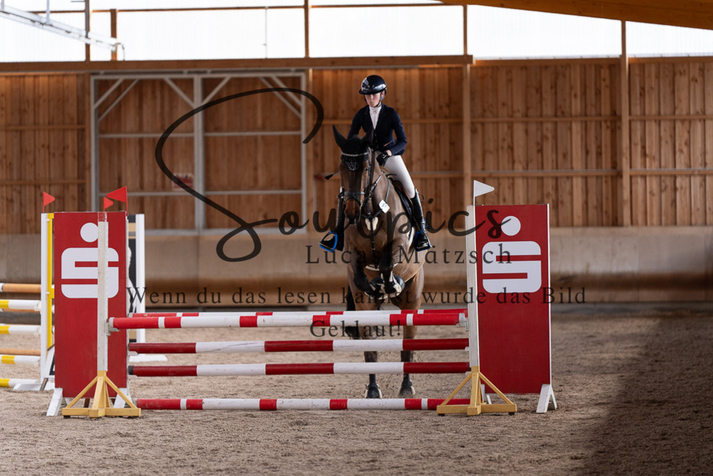 A7507758 | Pferdefotograf