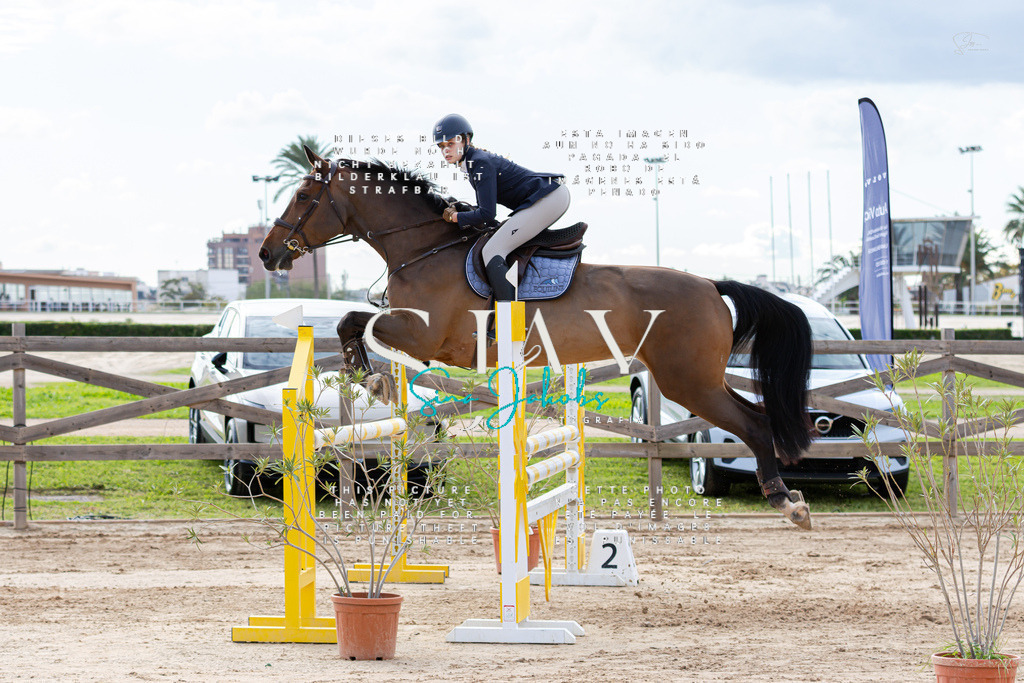 IMG_2852 | s-jay-photography - Realisiert mit Pictrs.com