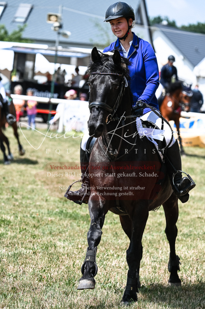 DSC_9507 | Pferde- und Turnierfotografie in Westsachsen. Pferdeportraits, Auftragszeichnungen und intuitive Kunst.