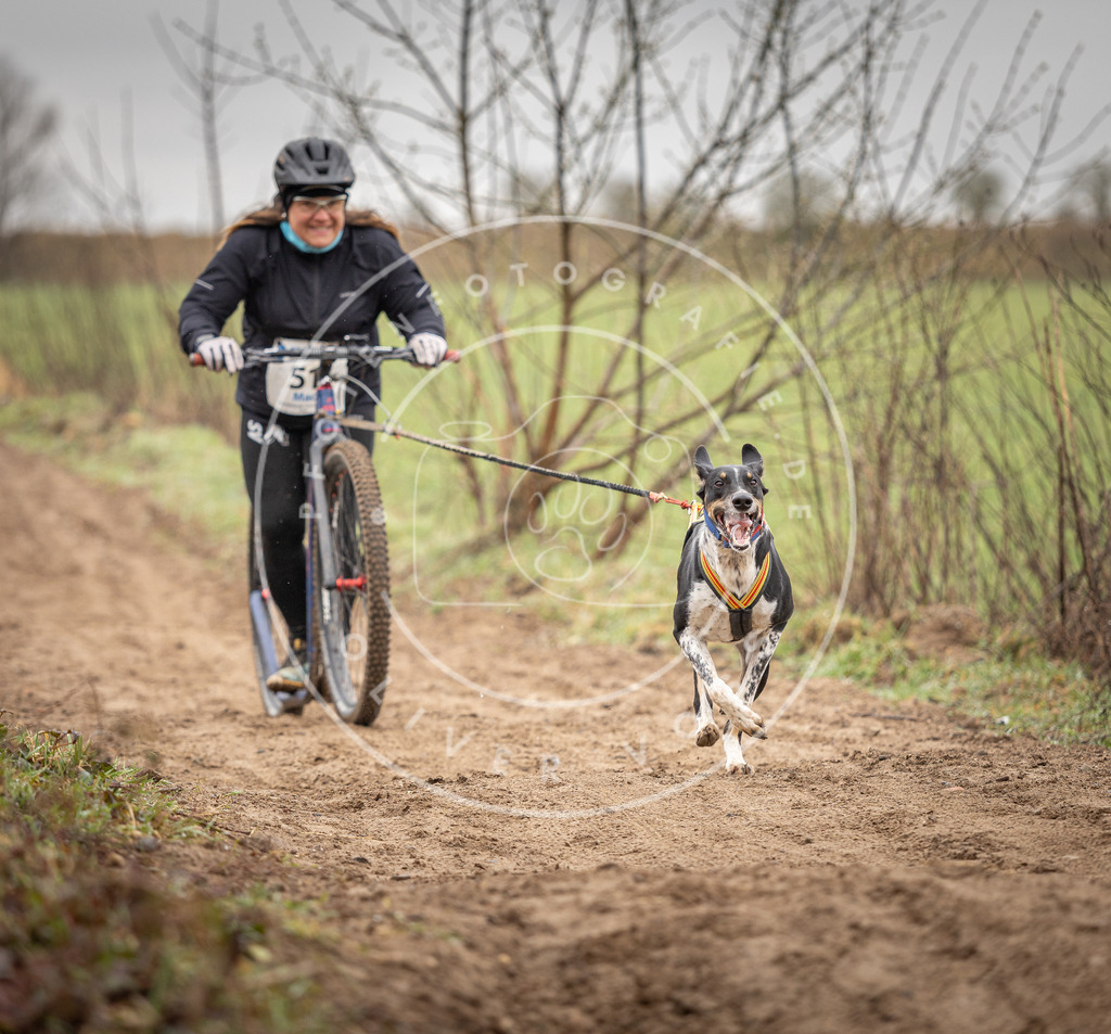 DV3A9253 | Hundefotografie, Tierfotograf, Pfotenfotografie, Fotoshooting Hund, Hunde Portrait, Hundesport, Hundeportraits, Heideshooting, Hunde, Sportfotograf, Hundefotograf, Turnierhundsport, THS,  - Realisiert mit Pictrs.com