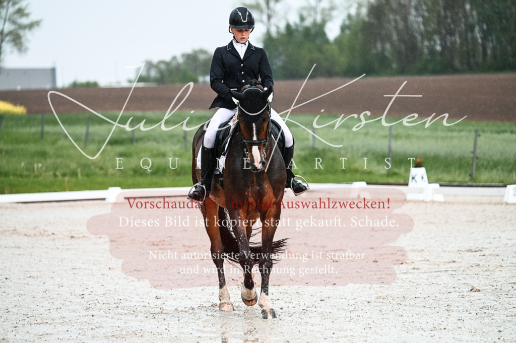 DSC_4136 | Pferde- und Turnierfotografie in Westsachsen. Pferdeportraits, Auftragszeichnungen und intuitive Kunst.